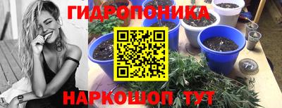 кокаин Будённовск