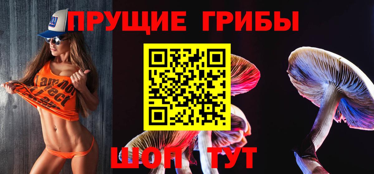 Псилоцибиновые грибы мицелий  Вход с VPN  Приморско-Ахтарск 